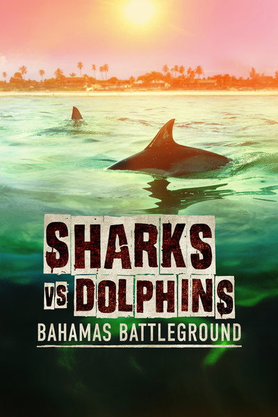 Póster de Sharks vs Dolphins: Bahamas Battleground