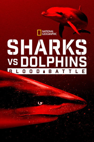 Póster de Sharks vs. Dolphins: Blood Battle