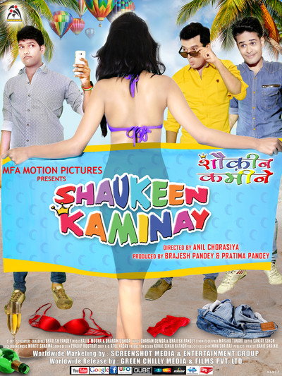 Póster de Shaukeen Kaminay