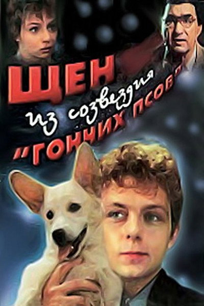Póster de Shchen iz sozvezdiya Gonchikh psov