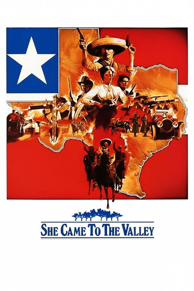 Póster de She Came to the Valley