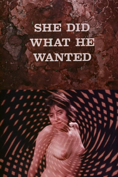 Póster de She Did What He Wanted