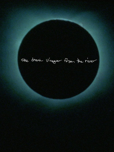 Póster de She Drank Vinegar from the River