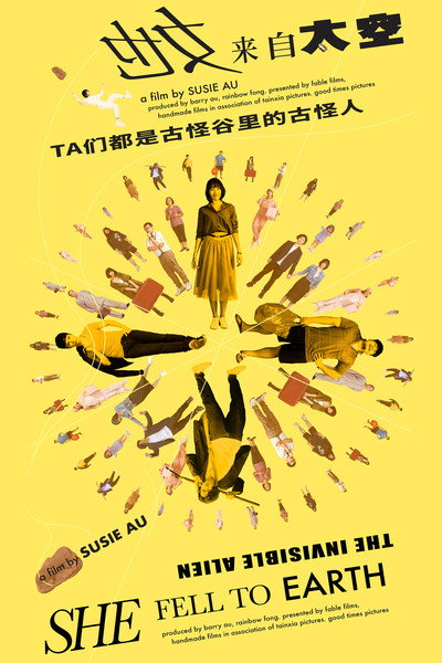 Póster de She Fell to Earth