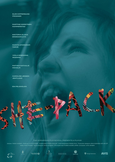 Póster de She-Pack