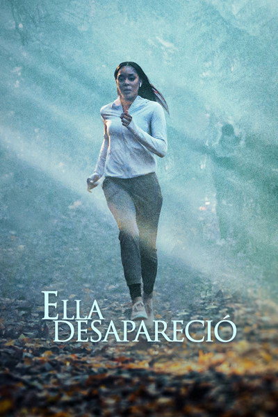 Póster de She Went Missing