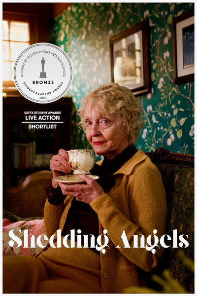 Póster de Shedding Angels