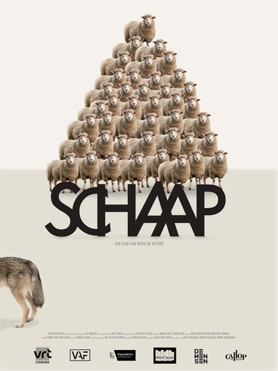 Póster de Sheep
