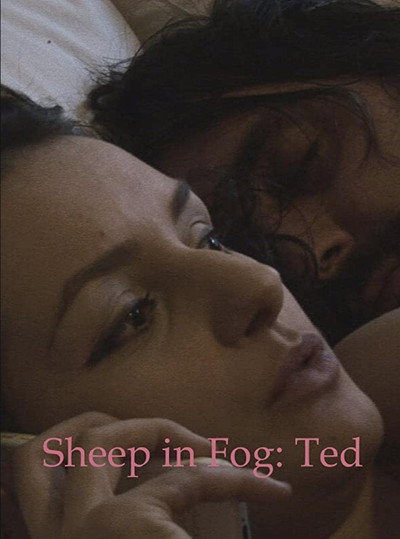 Póster de Sheep in Fog