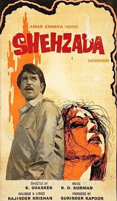 Póster de Shehzada
