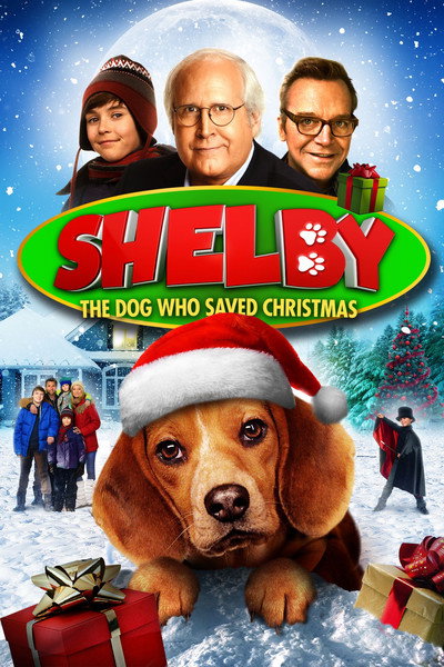 Póster de Shelby