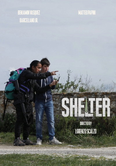 Póster de Shelter