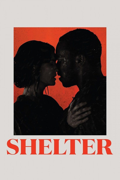 Póster de Shelter