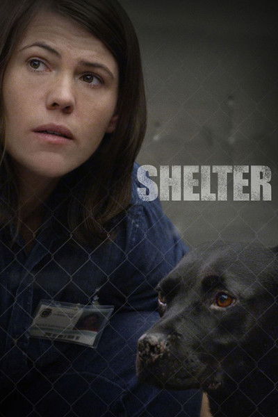 Póster de Shelter