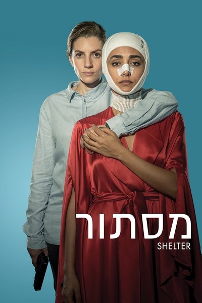 Póster de Shelter