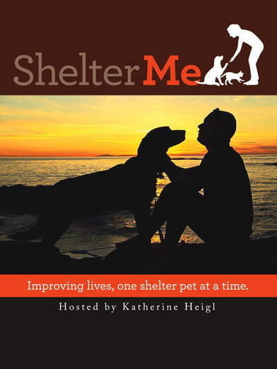 Póster de Shelter Me