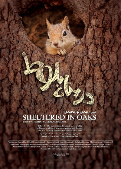 Póster de Sheltered in Oak