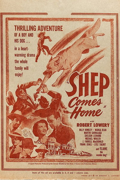Póster de Shep Comes Home