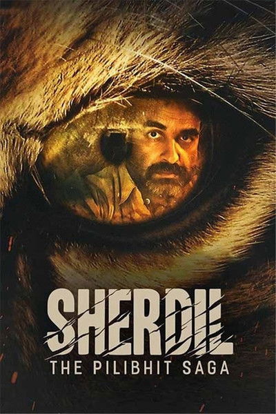 Póster de Sherdil