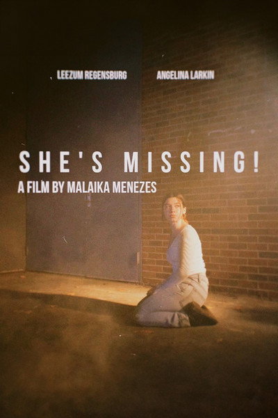 Póster de She's Missing!