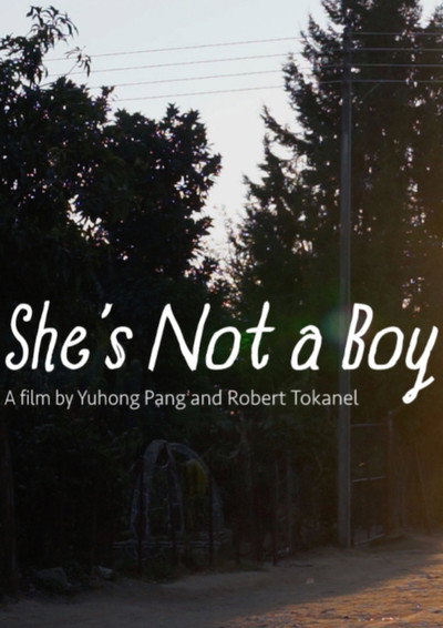 Póster de She's Not a Boy