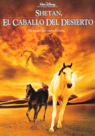 Póster de Shetan, el caballo del desierto