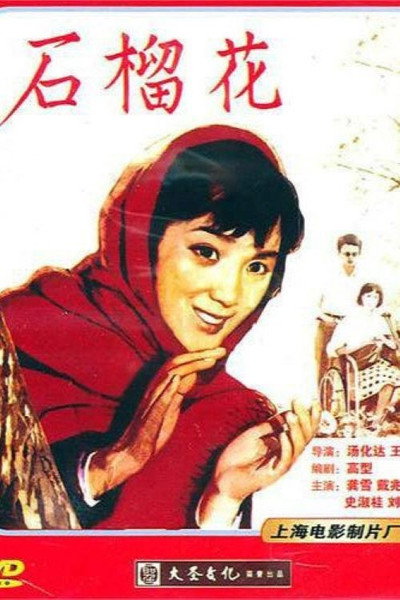Póster de Shi liu hua