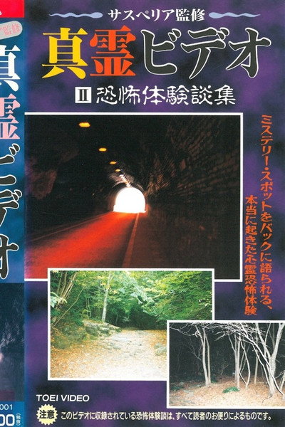Póster de Shin rei bideo II: Kyôfu taikendan-shuu