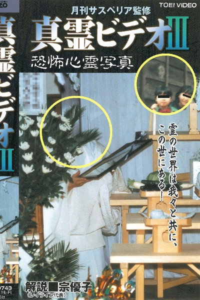 Póster de Shin rei bideo III: Kyôfu shinrei shashin