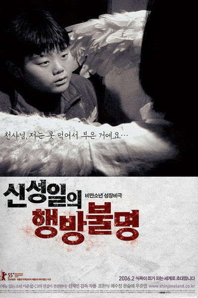 Póster de Shin Sung-Il is Lost