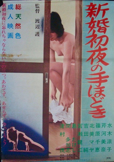 Póster de Shinkon shoya no tehodoki