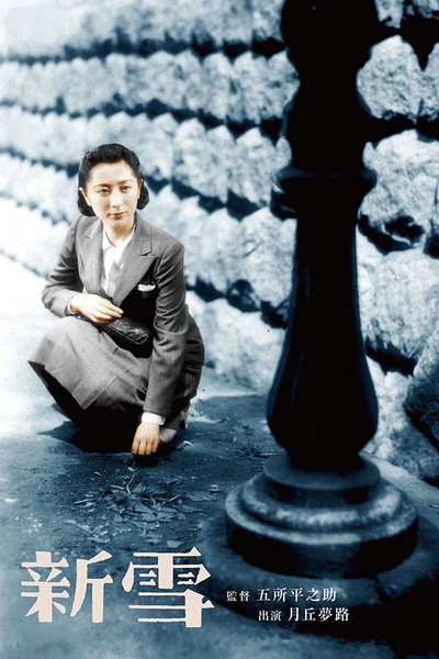 Póster de Shinsetsu