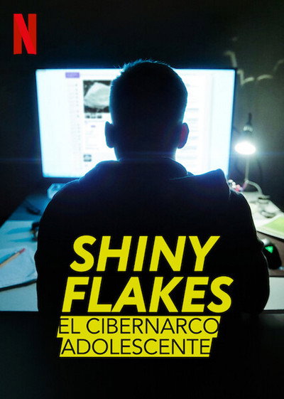 Póster de Shiny_Flakes: El cibernarco adolescente