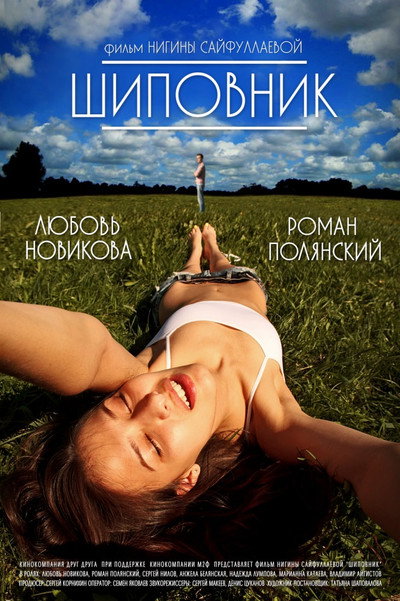 Póster de Shipovnik