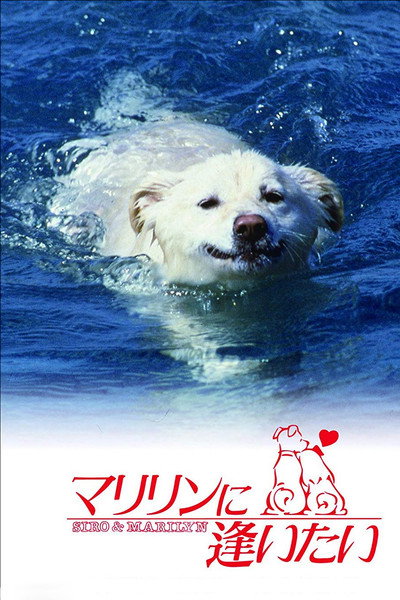 Póster de Shiro y Marilyn