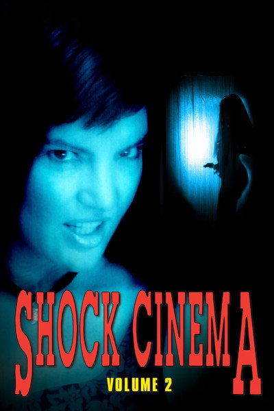 Póster de Shock Cinema Vol. 2