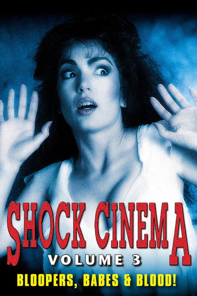 Póster de Shock Cinema Vol. 3