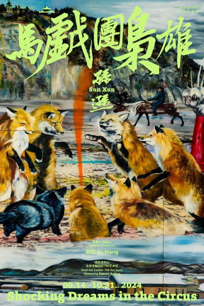 Póster de Shocking Dreams in the Circus