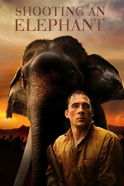 Póster de Shooting an Elephant