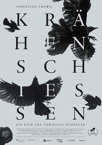 Póster de Shooting Crows