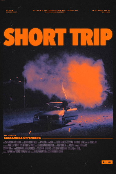 Póster de Short trip
