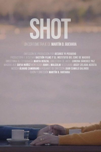 Póster de Shot