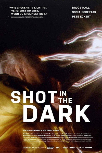 Póster de Shot in the Dark