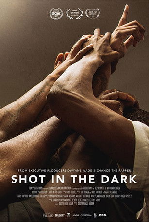 Póster de Shot in the Dark