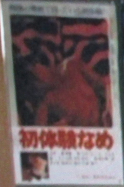 Póster de Shotaiken name