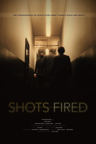 Póster de Shots Fired