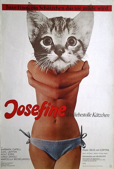 Póster de Should a Schoolgirl Tell?