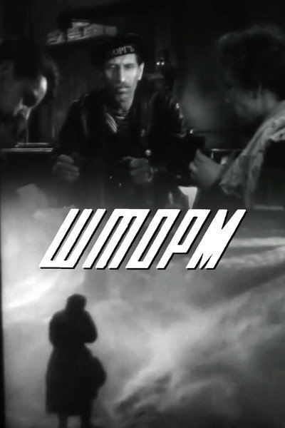 Póster de Shtorm