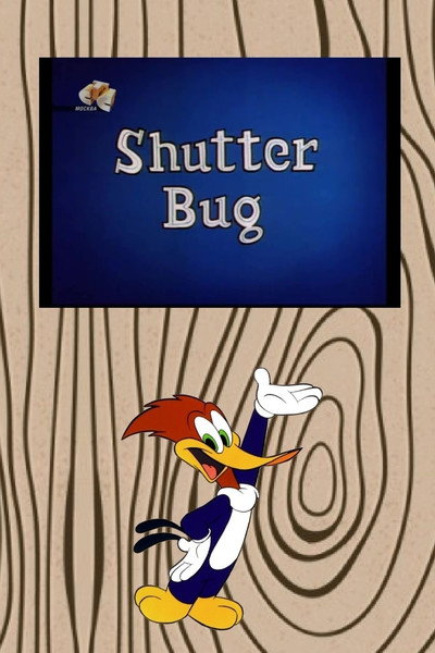 Póster de Shutter Bug