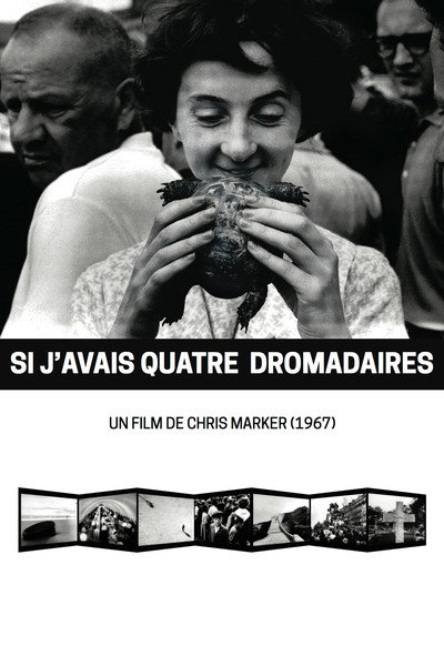 Póster de Si j'avais quatre dromadaires